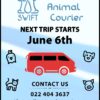 Dog Transport