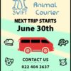 Pet Transport
