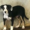 Female header 5 months