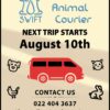 Dog Transport