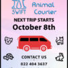 Dog Transport